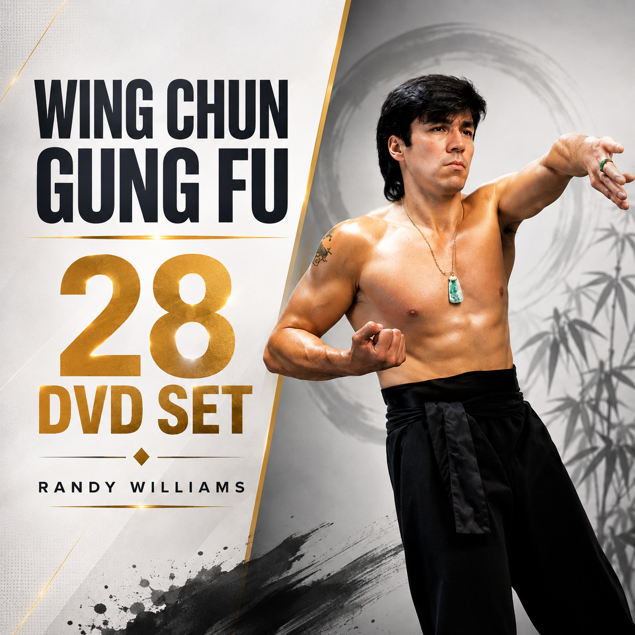 Wing Chun Kung Fu Complete 28 DVD Set with Randy Williams