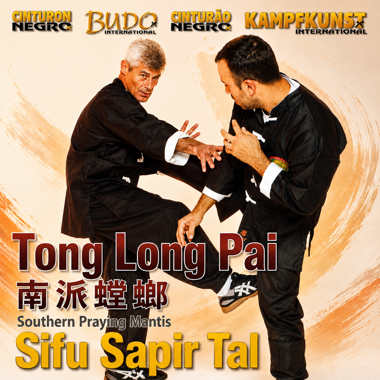 Tong Long Pai Southern Praying Mantis Sapir Tal (On Demand)