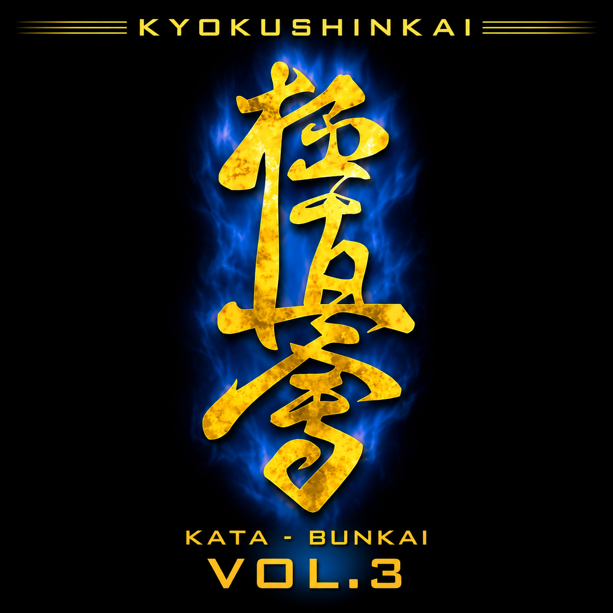 Kyokushinkai Karate Kata & Bunkai Vol 3 (On Demand)