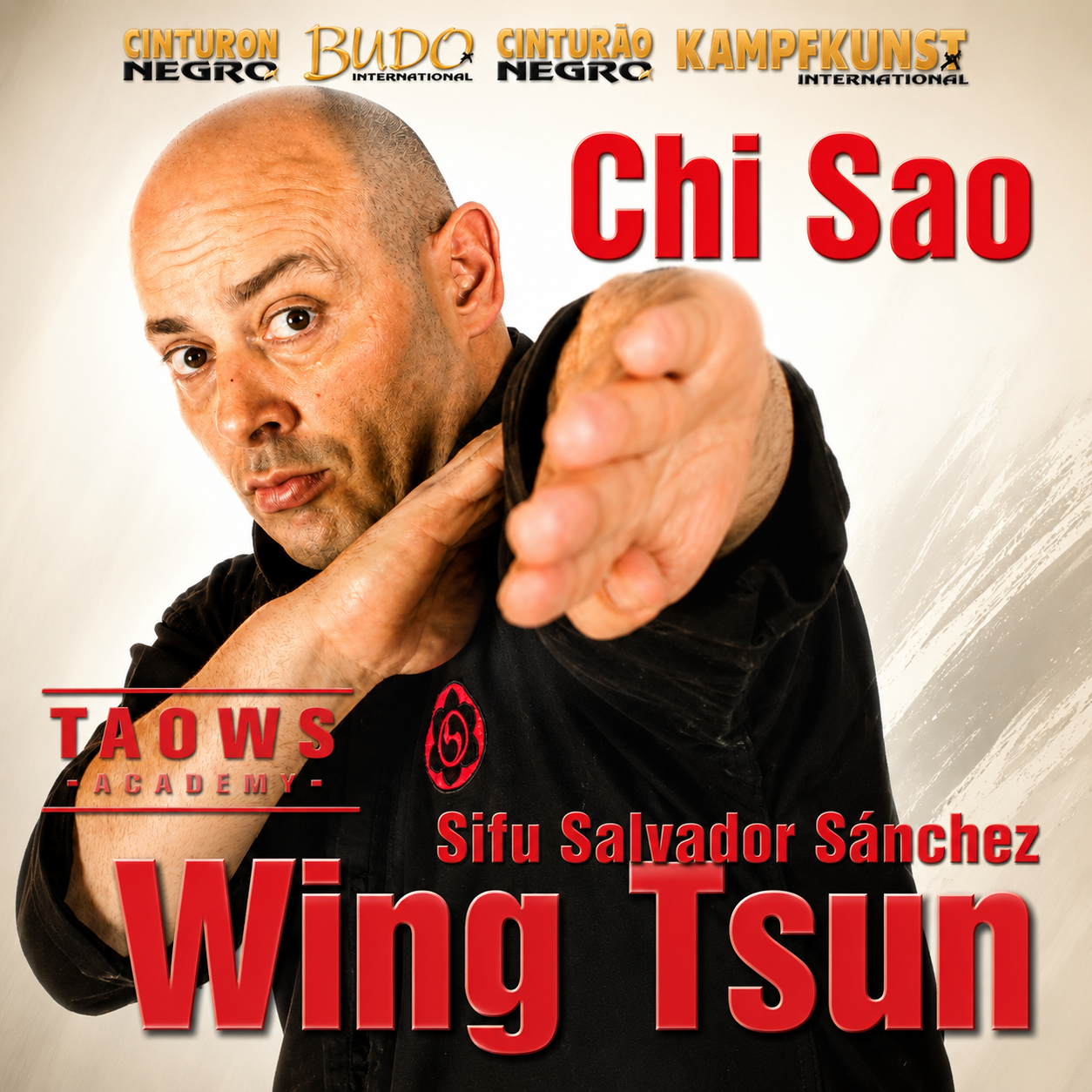Chi Sao Wing Tsun Academy TAOWS Salvador Sanchez (On Demand)