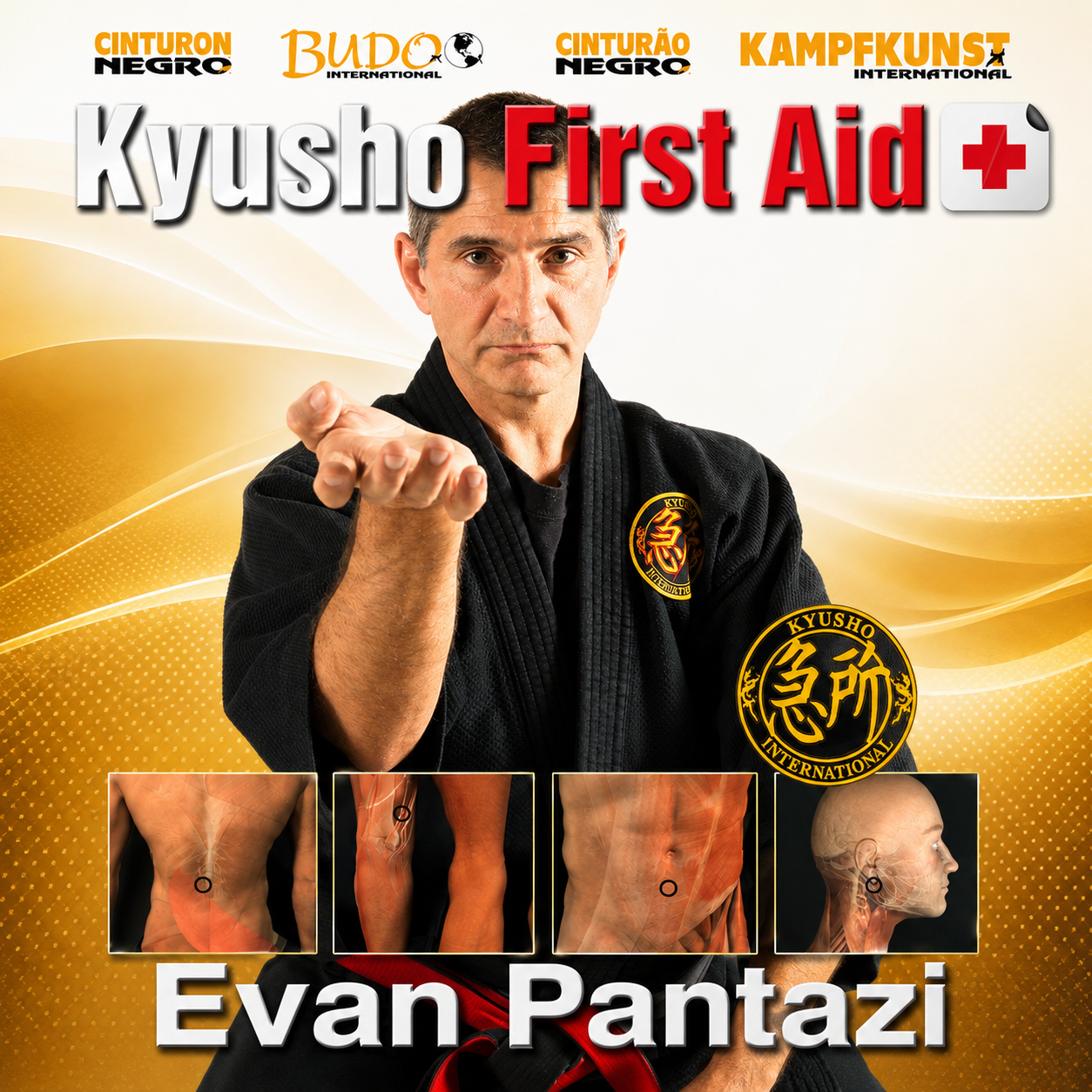 Kyusho First Aid by Evan Pantazi (On Demand)