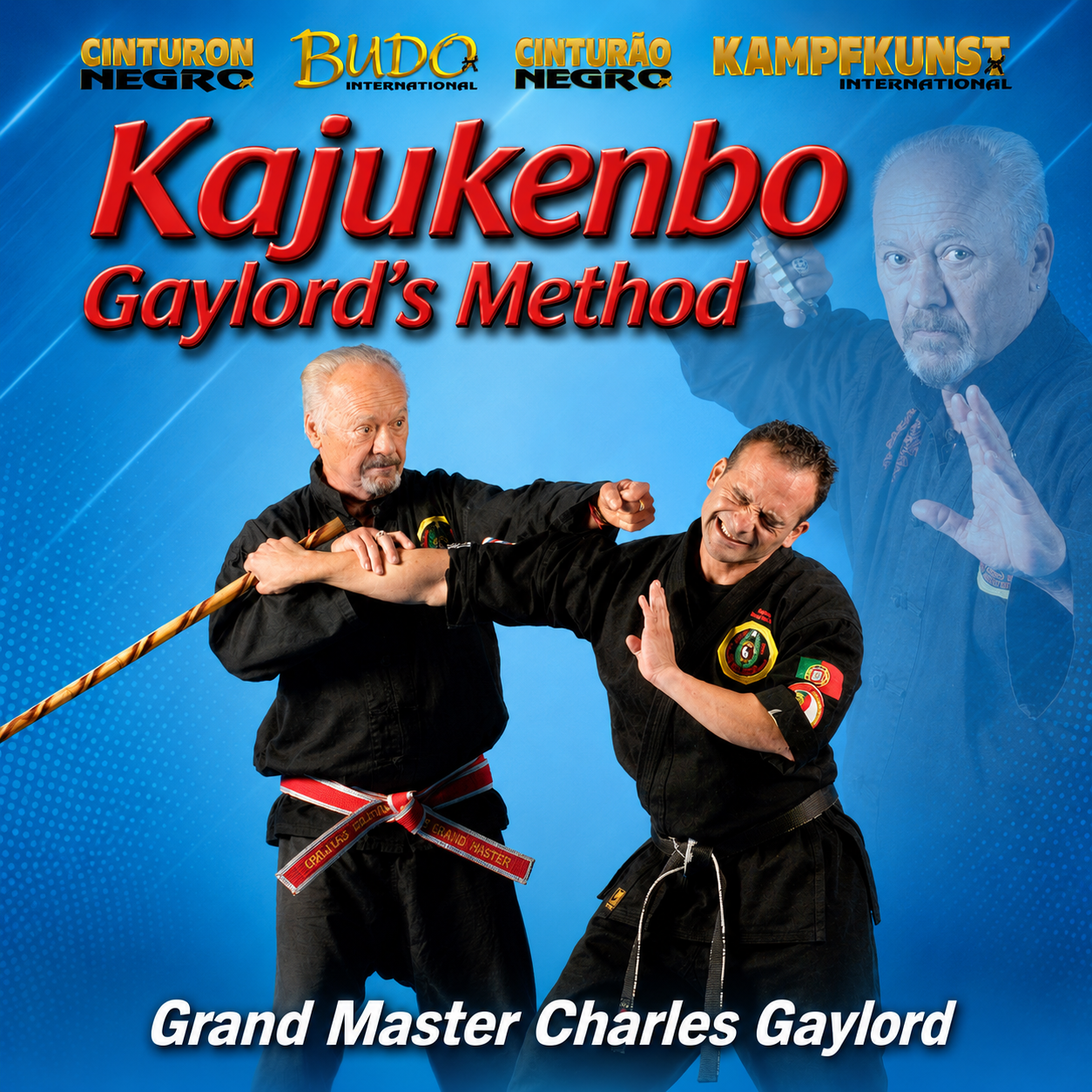 Kajukenbo Gaylord's Method by Charles Gaylord (On Demand)