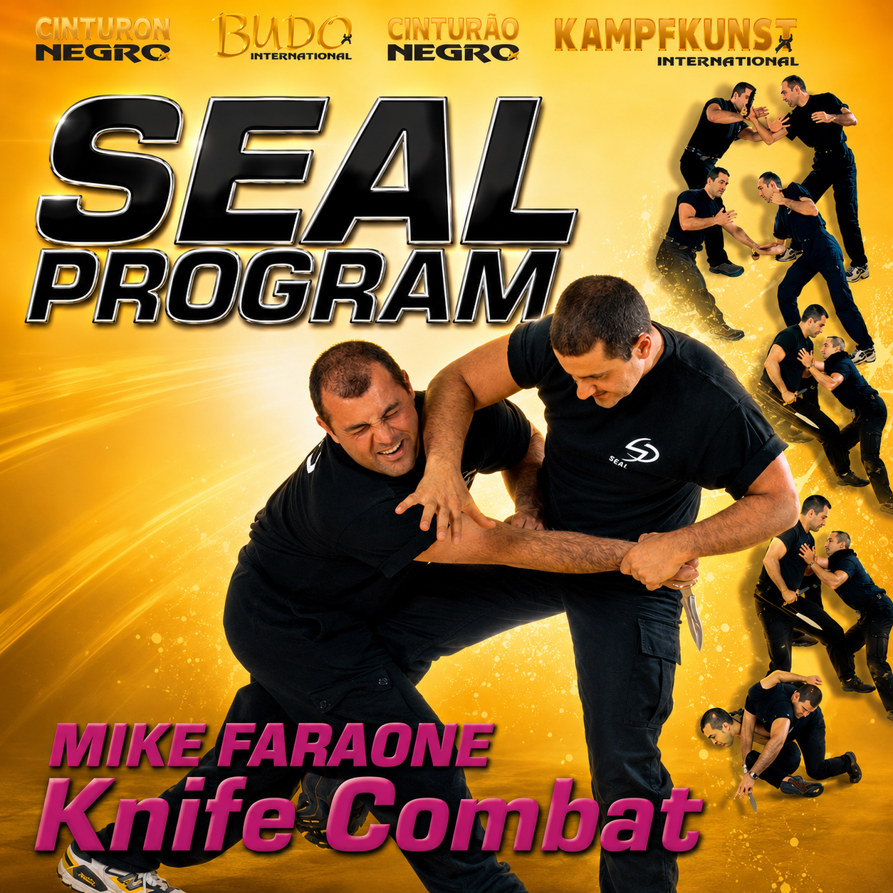 Seal Program Knife Combat by Mike Faraone (On Demand)