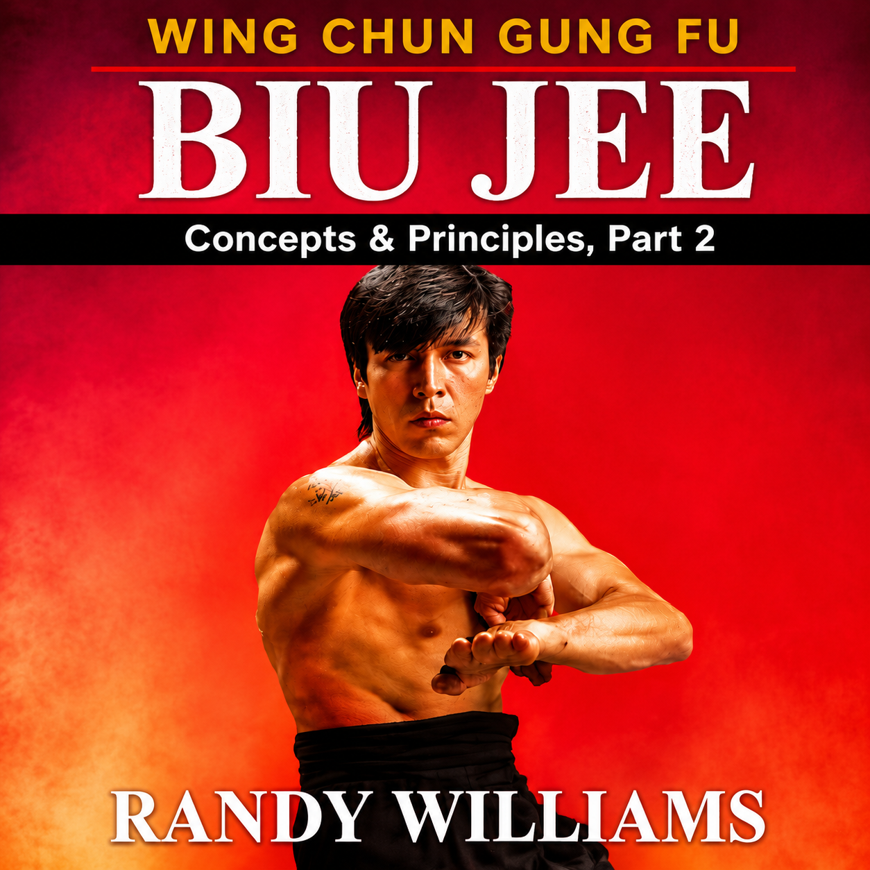 Wing Chun Biu Jee Concepts 2 by Randy Williams (On Demand)