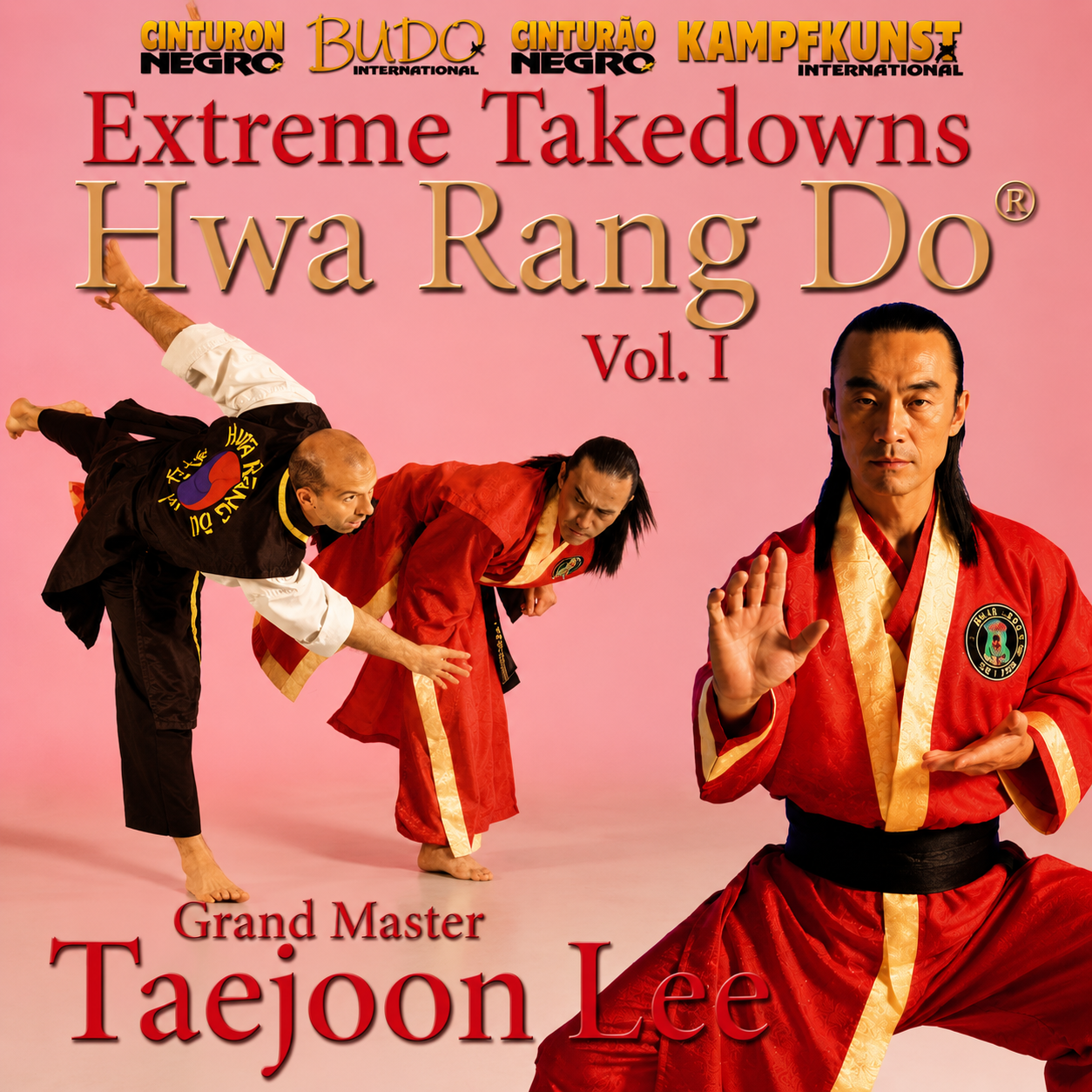 Hwa Rang Do Extreme Takedowns Vol 1 by Taejoon Lee (On Demand)