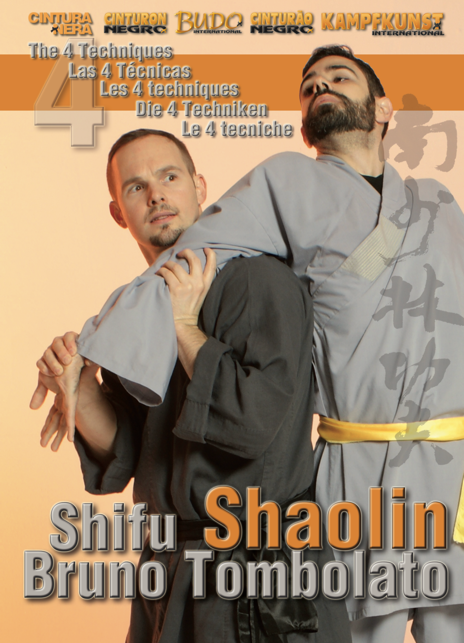Shaolin Kung Fu The Four Techniques DVD by Bruno Tombolato
