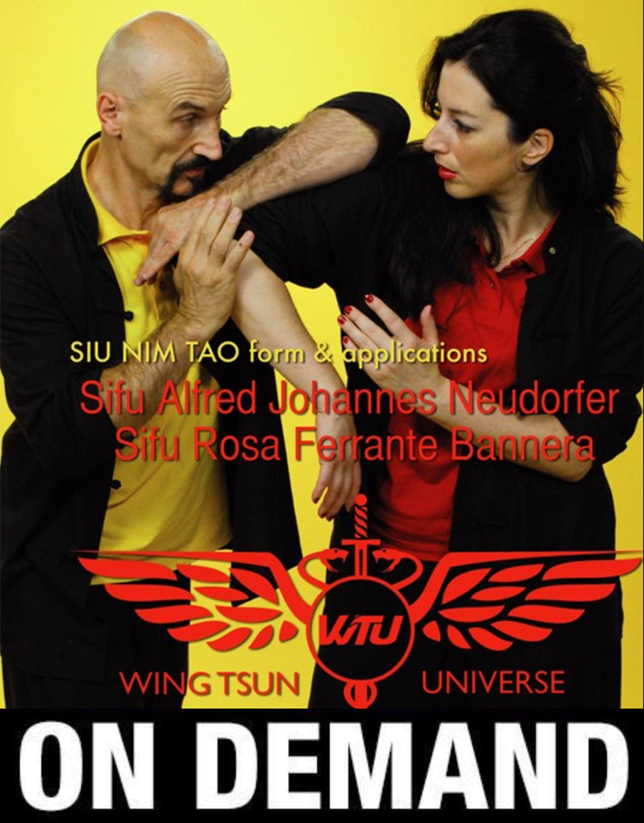 Wing Tsun Universe: Siu Nim Tao Form & Applications with A. Neudorfer & R. Ferrante (On Demand) - Budovideos