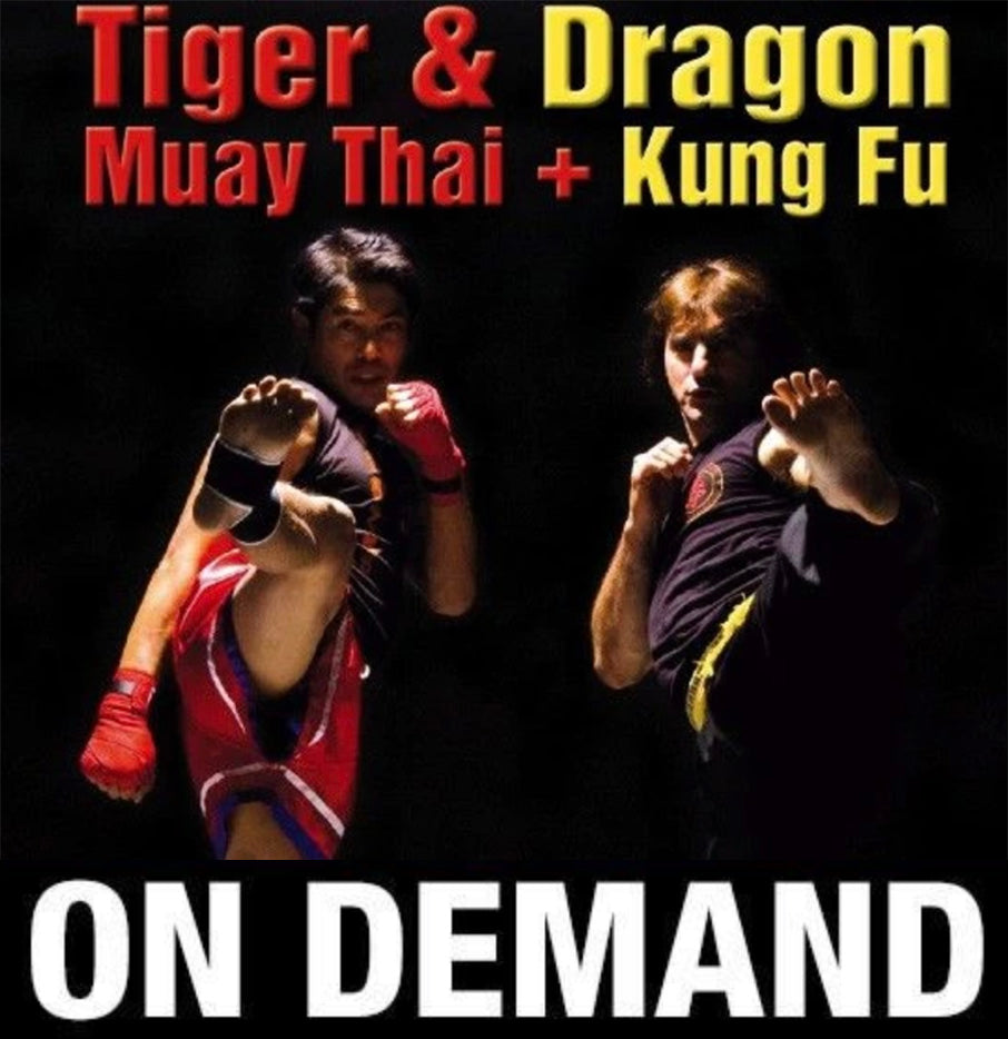 Kung Fu & Muay Thai Dragon & Tiger by Paolo Cangelosi (On Demand) - Budovideos
