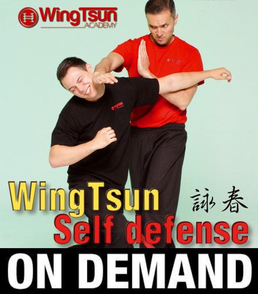 Wing Tsun Self Defense with Mohammed Ince (On Demand) - Budovideos