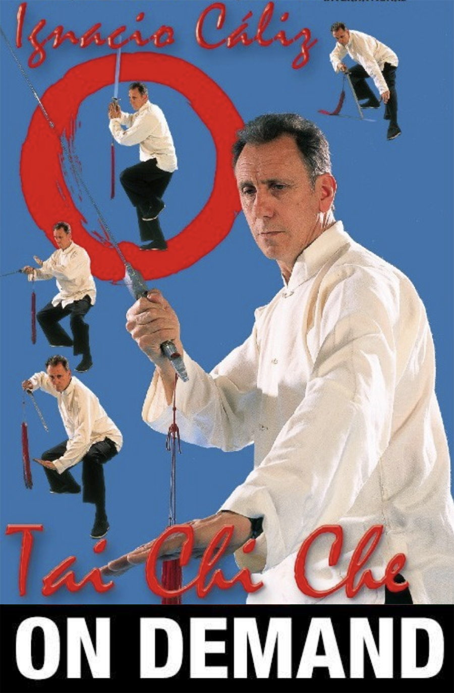 Tai Chi Che Sword by Ignacio Caliz (On Demand) - Budovideos