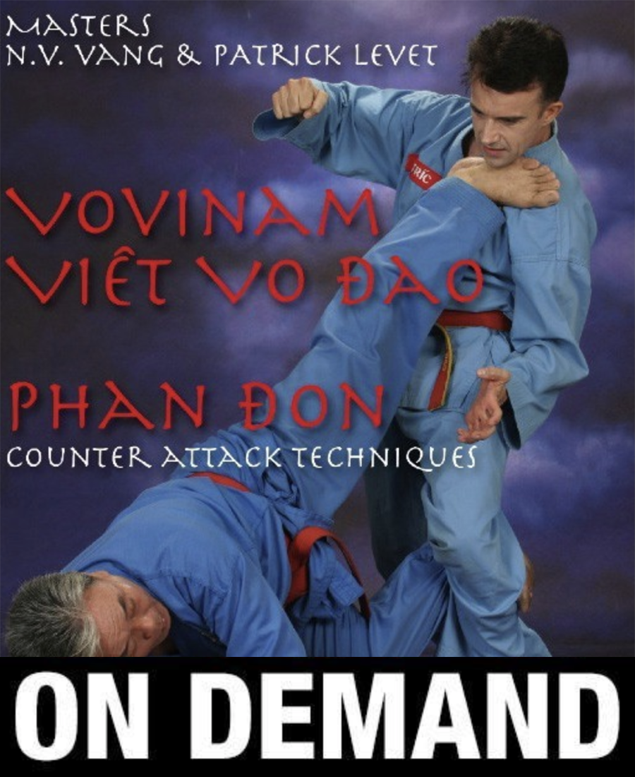 Viet Vo Dao Phan Don Counter Techniques with Patrick Levet (On Demand) - Budovideos