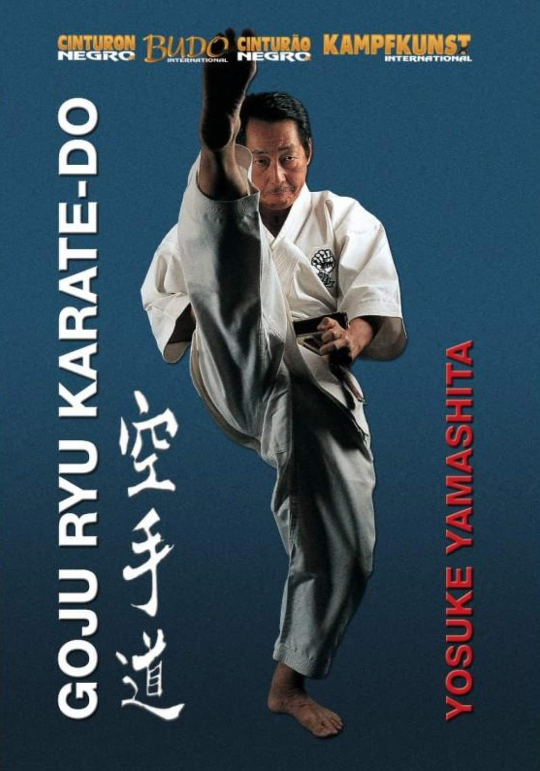 Goju Ryu Karate DVD by Yosuke Yamashita - Budovideos Inc