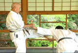 Functional Karate DVD by Takayuki Kubota - Budovideos Inc
