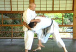 Functional Karate DVD by Takayuki Kubota - Budovideos Inc
