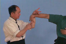 Chin Na In Depth Courses 9-12 DVD with Dr. Yang, Jwing-Ming - Budovideos Inc