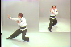 Shaolin Long Fist Kung Fu Basic Sequences DVD with Dr. Yang, Jwing Ming - Budovideos Inc