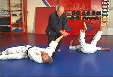 Hapkido Ultimate Self Defense DVD Set with Steve Sexton - Budovideos Inc