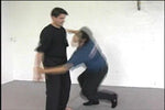 Systema Hand to Hand DVD - Budovideos Inc