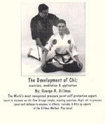 Development of Chi DVD by George Dillman - Budovideos Inc