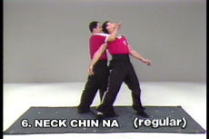 Analysis of Shaolin Chin Na DVD with Dr. Yang, Jwing Ming - Budovideos Inc