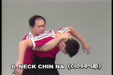 Analysis of Shaolin Chin Na DVD with Dr. Yang, Jwing Ming - Budovideos Inc