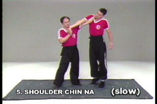 Analysis of Shaolin Chin Na DVD with Dr. Yang, Jwing Ming - Budovideos Inc