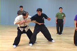 Shaolin Fundamental Training DVD with Dr. Yang, Jwing Ming - Budovideos Inc