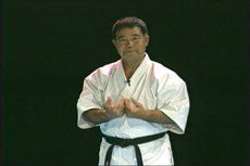 Goju Ryu Technical Series Part 2 DVD by Morio Higaonna - Budovideos Inc