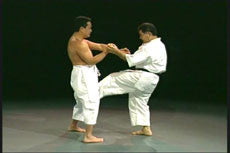 Goju Ryu Technical Series Part 2 DVD by Morio Higaonna - Budovideos Inc
