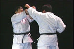 Goju Ryu Technical Series Part 3 DVD by Morio Higaonna - Budovideos Inc