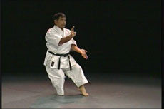 Goju Ryu Technical Series Part 4 DVD by Morio Higaonna - Budovideos Inc
