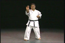 Goju Ryu Technical Series Part 5 DVD by Morio Higaonna - Budovideos Inc
