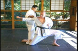 Goju Ryu Technical Series Part 6 DVD by Morio Higaonna - Budovideos Inc