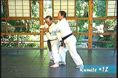 choki motobu karate