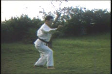 Matsubayashi Shorin Ryu Karate DVD 1 by Takayoshi Nagamine - Budovideos Inc