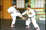 Matsubayashi Shorin Ryu Karate DVD Vol 2 by Takayoshi Nagamine - Budovideos Inc
