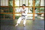Matsubayashi Shorin Ryu Karate DVD 3 with Takayoshi Nagamine - Budovideos Inc