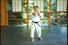 Matsubayashi Shorin Ryu Karate DVD 3 with Takayoshi Nagamine - Budovideos Inc