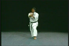 Uchinadi DVD 1: Original Karate of Okinawa by Toshishiro Oshiro - Budovideos Inc