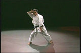 Uchinadi DVD 2: Original Karate of Okinawa - Budovideos Inc
