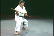 Yamanni Ryu: Okinawan Bo-Jutsu DVD with Toshihiro Oshiro - Budovideos Inc