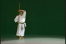 Yamanni Ryu: Okinawan Bo-Jutsu DVD with Toshihiro Oshiro - Budovideos Inc