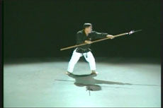 Weapon Arts of Okinawa DVD 2 with Shinpo Matayoshi - Budovideos Inc