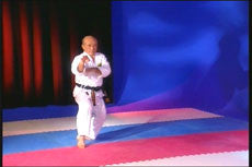 Karate of Chotoku Kyan Seibukan Karate DVD by Zenpo Shimabukuro - Budovideos Inc