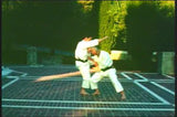 Wado Ryu Karate DVD 1 with Hironori Otsuka & Yoshiaki Ajari - Budovideos Inc