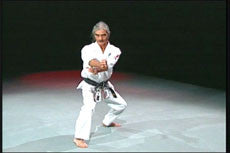 Pangai Noon Karate DVD 4: Weapon Arts by Shinyu Gushi - Budovideos Inc