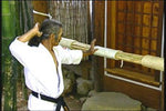 Pangai Noon Karate DVD 5: Body Conditioning & Training by Shinyu Gushi - Budovideos Inc
