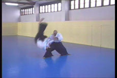 Dynamic Aikido DVD with Angel Alvarez - Budovideos Inc
