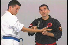 Kyusho Jitsu DVD with Evan Pantazi - Budovideos Inc