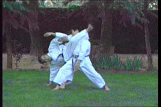 Hirokazu Kanazawa Karate DVD - Budovideos Inc